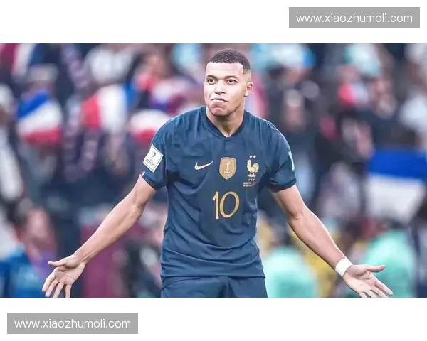 2014世界杯法国队精彩表现与赛场风云全解析